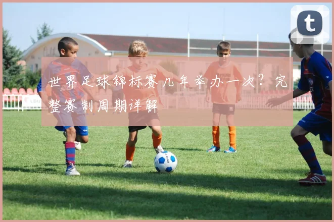 世界足球锦标赛几年举办一次？完整赛制周期详解