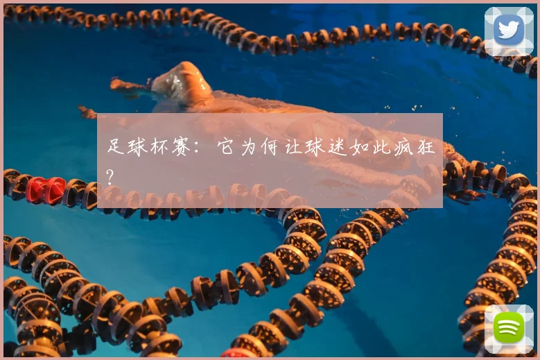 足球杯赛：它为何让球迷如此疯狂？