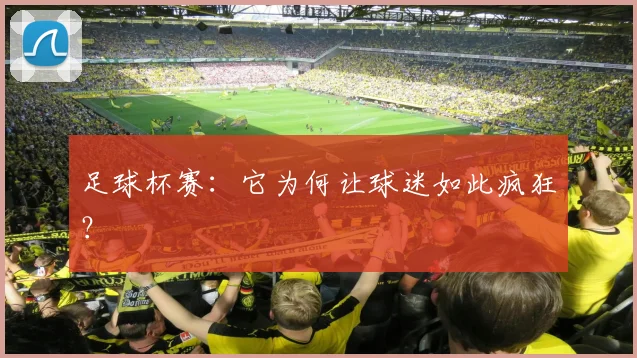 足球杯赛：它为何让球迷如此疯狂？